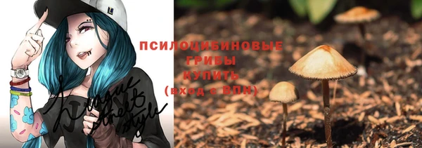 гидра Пестово