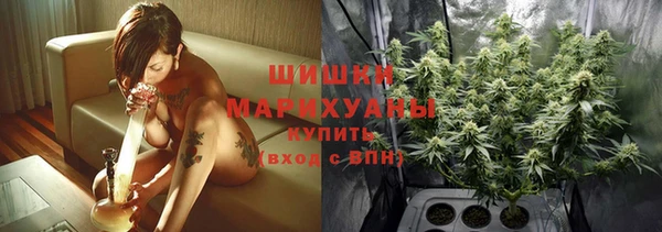 прущая мука Пересвет