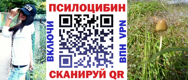 Псилоцибиновые грибы мицелий Динская
