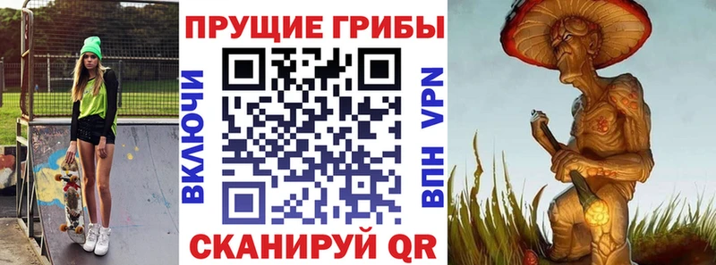 даркнет сайт  Динская  Псилоцибиновые грибы Cubensis 