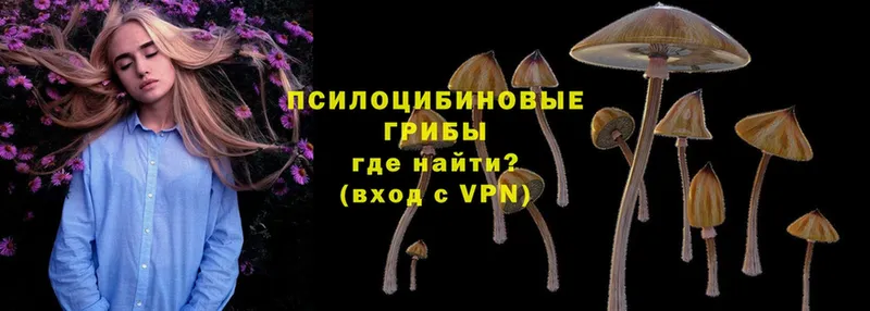 Псилоцибиновые грибы Magic Shrooms  цены наркотик  Динская 